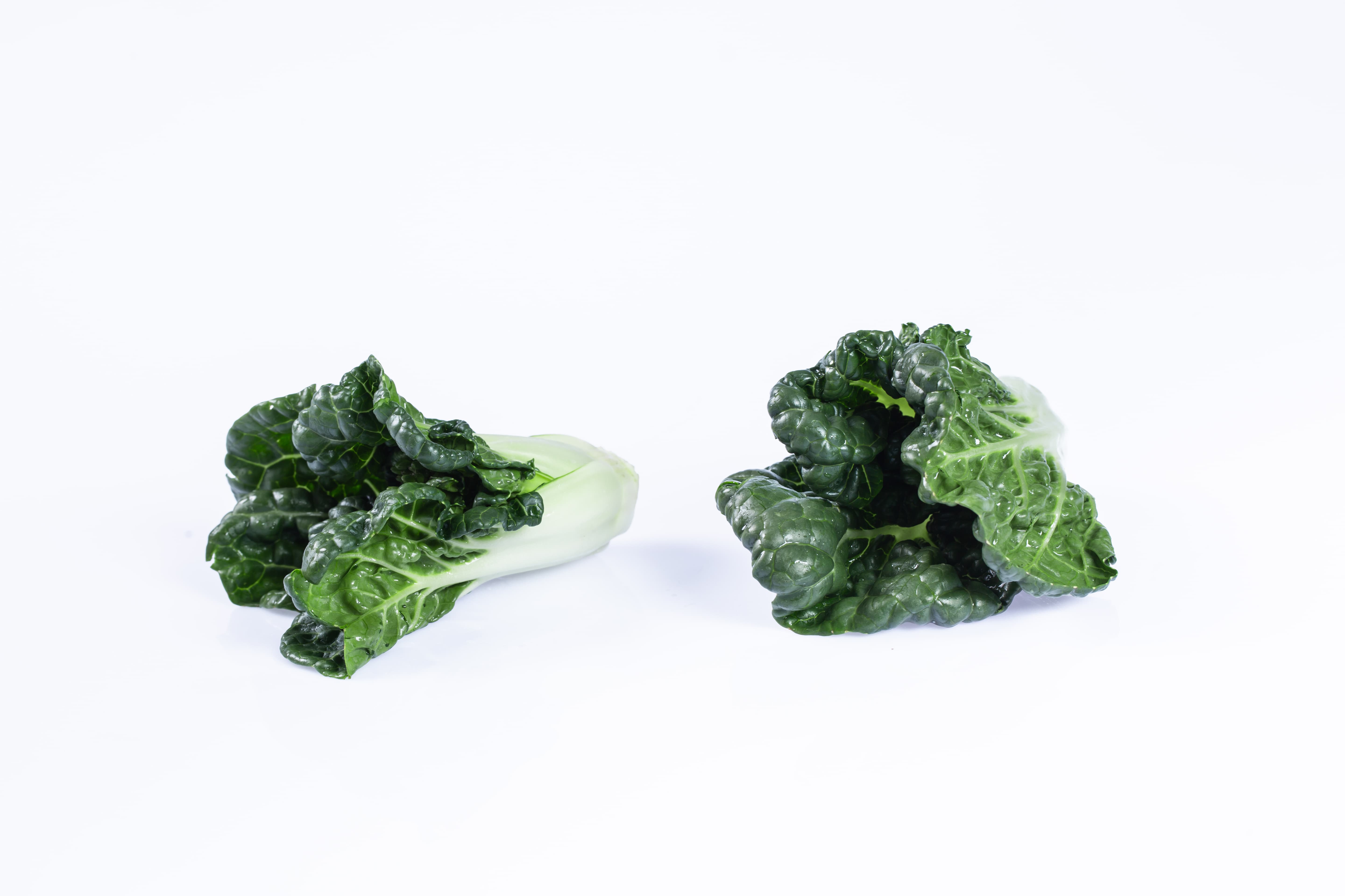 學(xué)斗