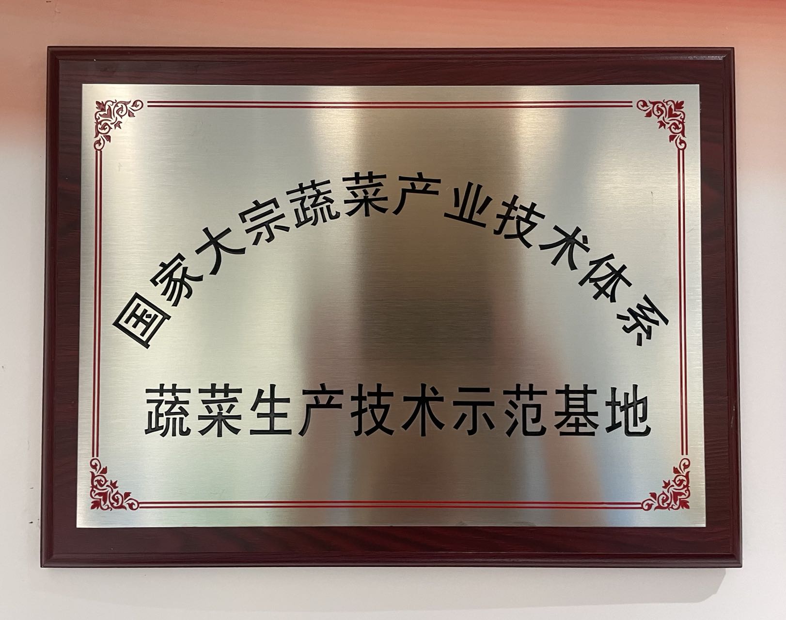 國家大宗蔬菜產業(yè)技術體系—蔬菜生產技術示范基地