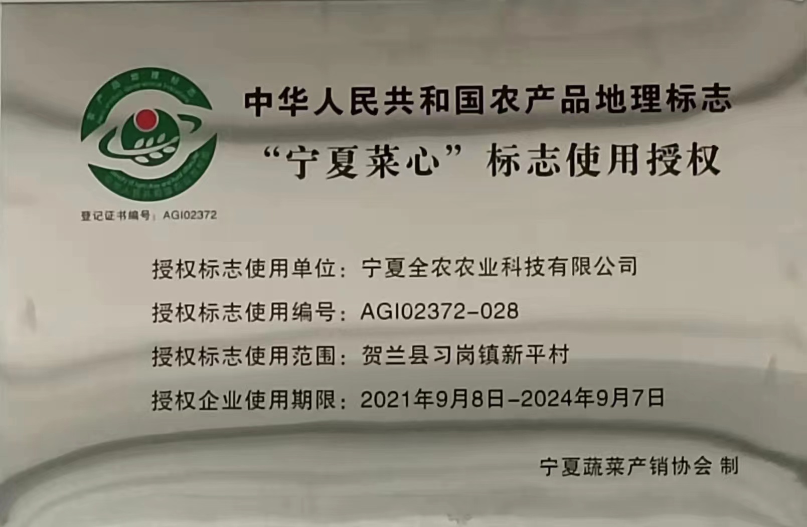 “寧夏菜心”地理標(biāo)志